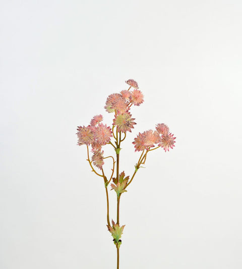 Gravity Flower branch | Pink-purple
