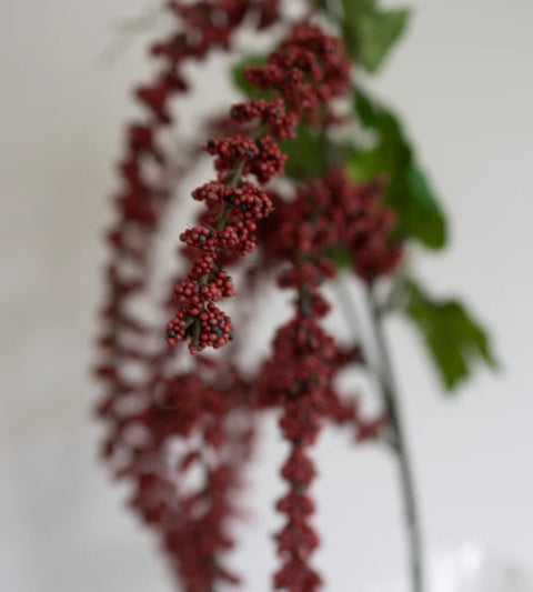 Gravity Amaranthus Red