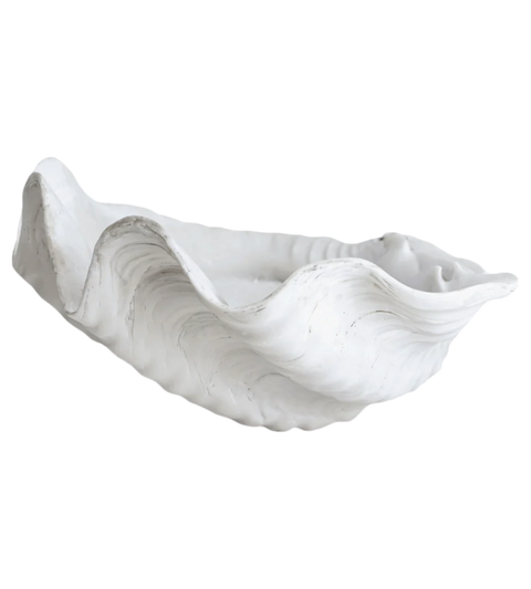 Interior Shell | Large