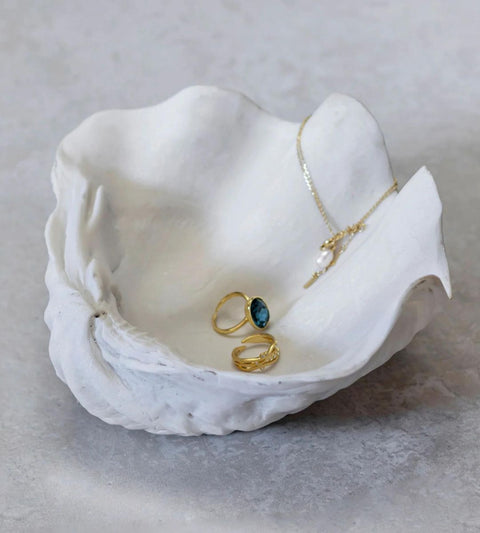 Interior Shell | Small