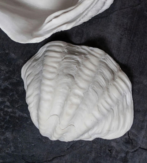 Interior Shell | Small