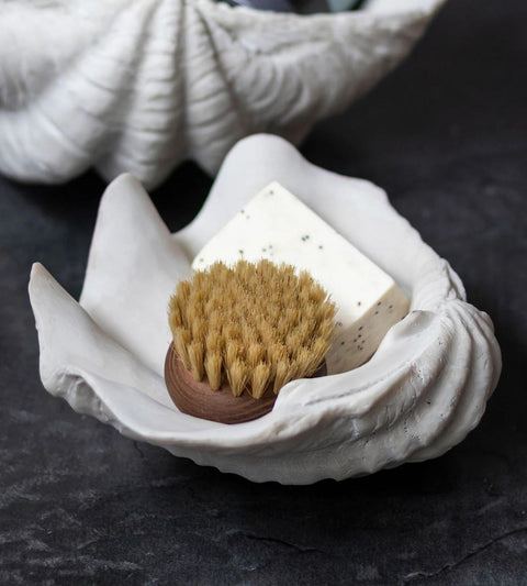 Interior Shell | Small