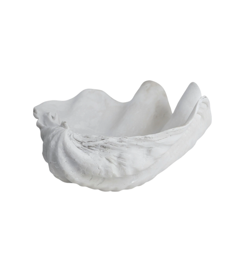 Interior Shell | Small