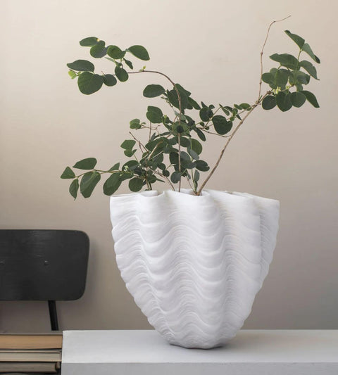 Interior shell vase | Large