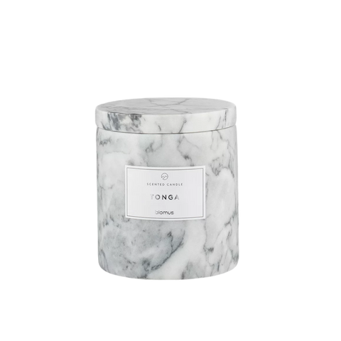 FRABLI Candle | Sharskin