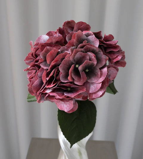 Gravity Hortensia Red