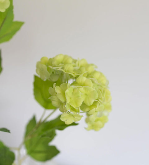 Gravity Hortensia Trio | Lysegrøn