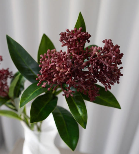 Gravity Skimmia berry | Rød