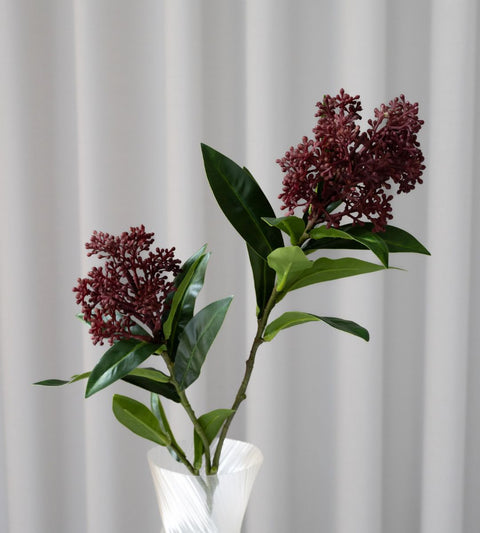 Gravity Skimmia berry | Rød