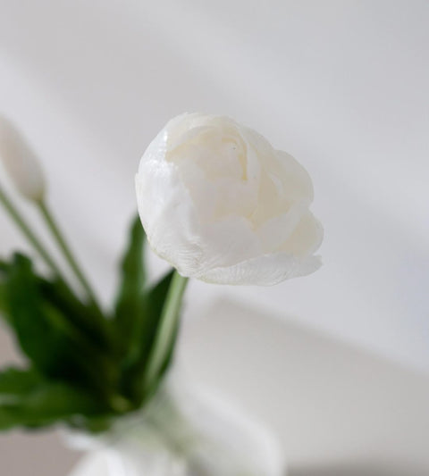 Gravity Tulipan | Hvid