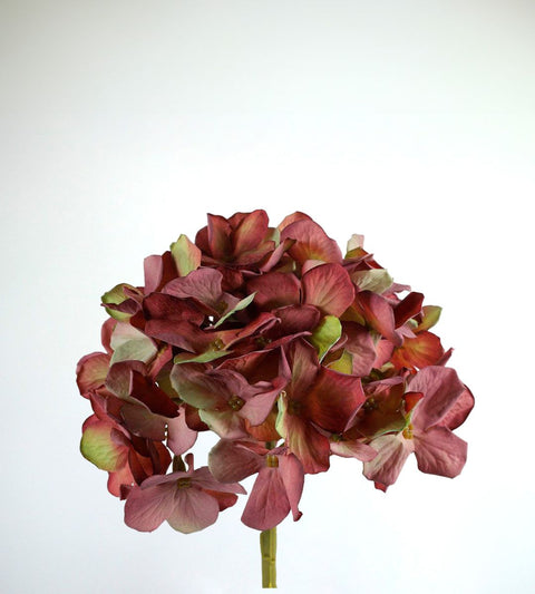 Gravity Hortensia branch | Burgundy