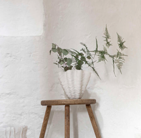 Interior shell vase | Large