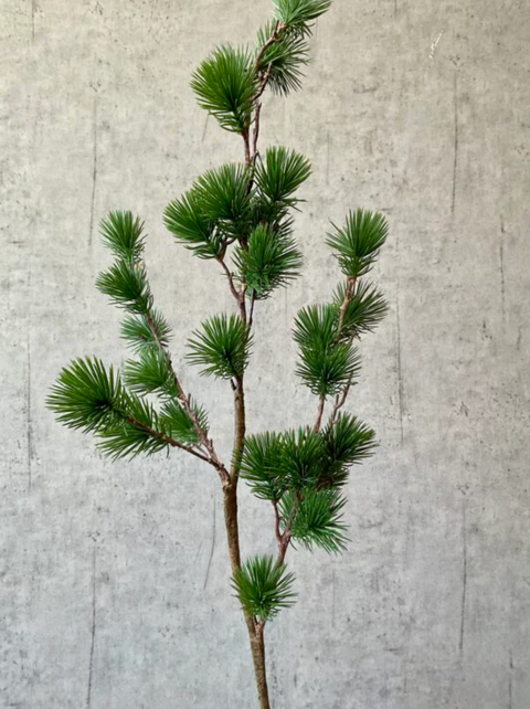 Gravity Ceder Gran | Grøn