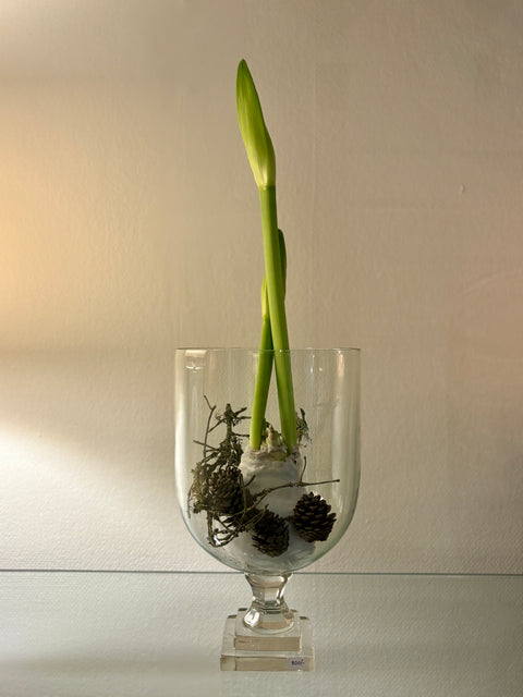 Crystal Vase | Low - Glas