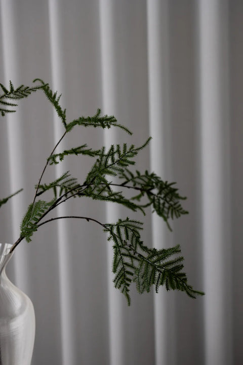 Gravity Asparagus | Mørkegrøn