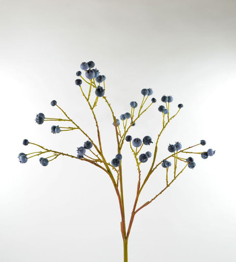 Gravity Berry branch | Blue